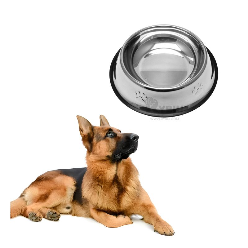 GENERICO - Recipiente para Alimento de Canino XL Y+Regalo Stickers