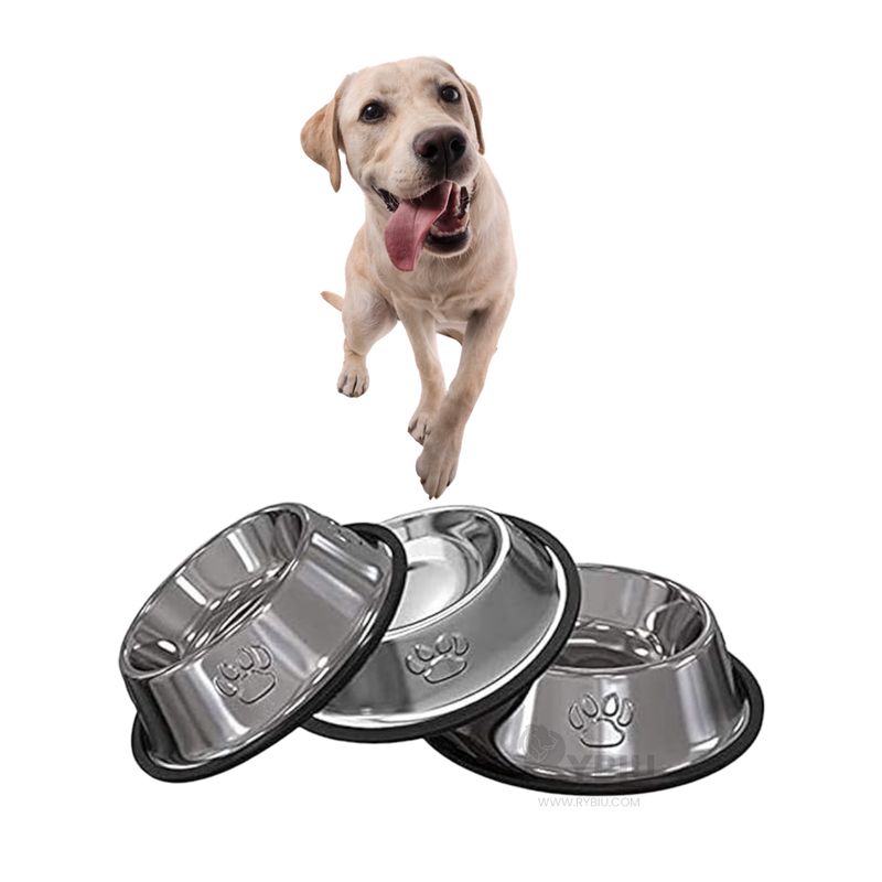 GENERICO - Recipiente Seguro Talla XXXL 36 cm Y+Envoltorio de Regalo