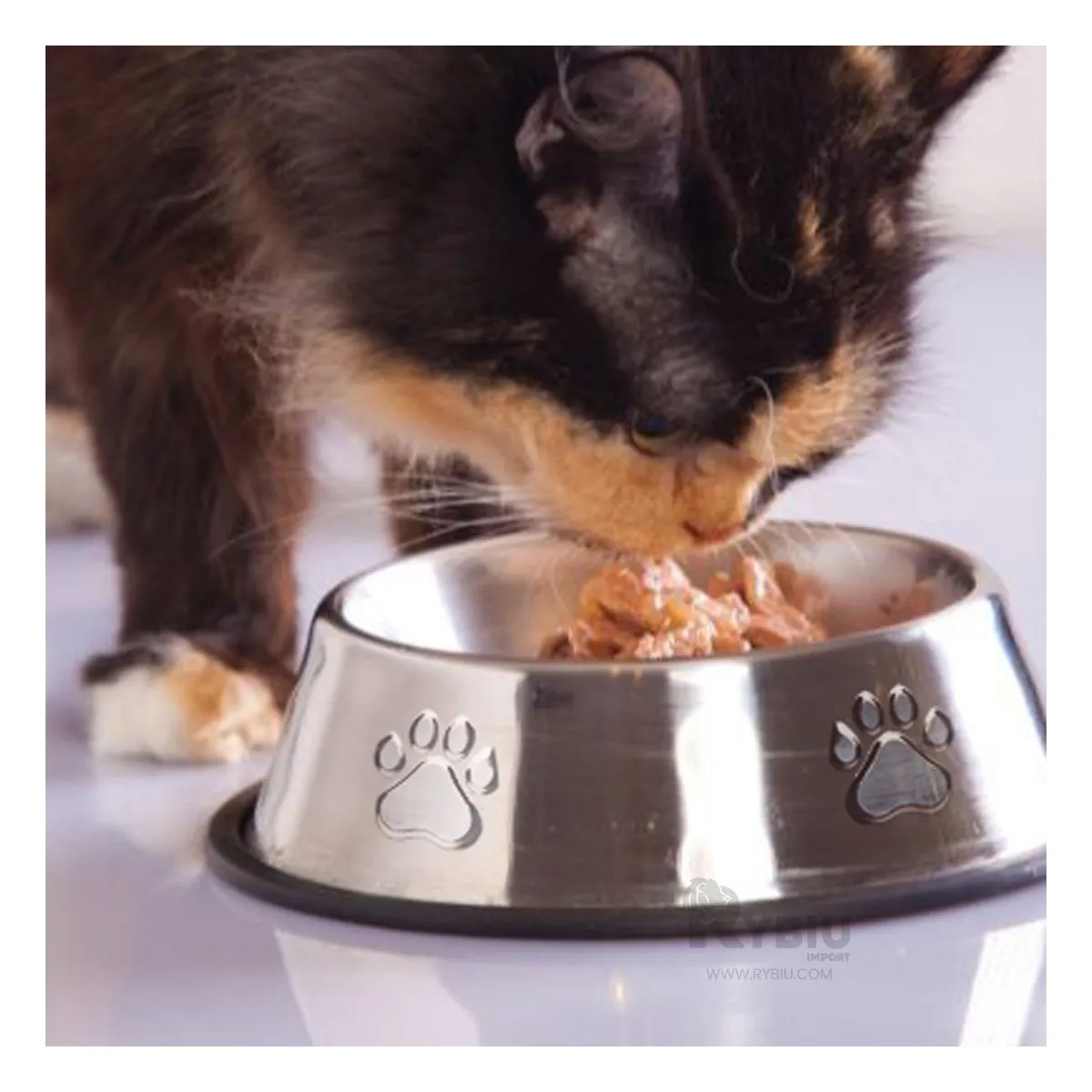 GENERICO - Plato Util para Razas Grandes en Talla XS Y+Regalo Stickers