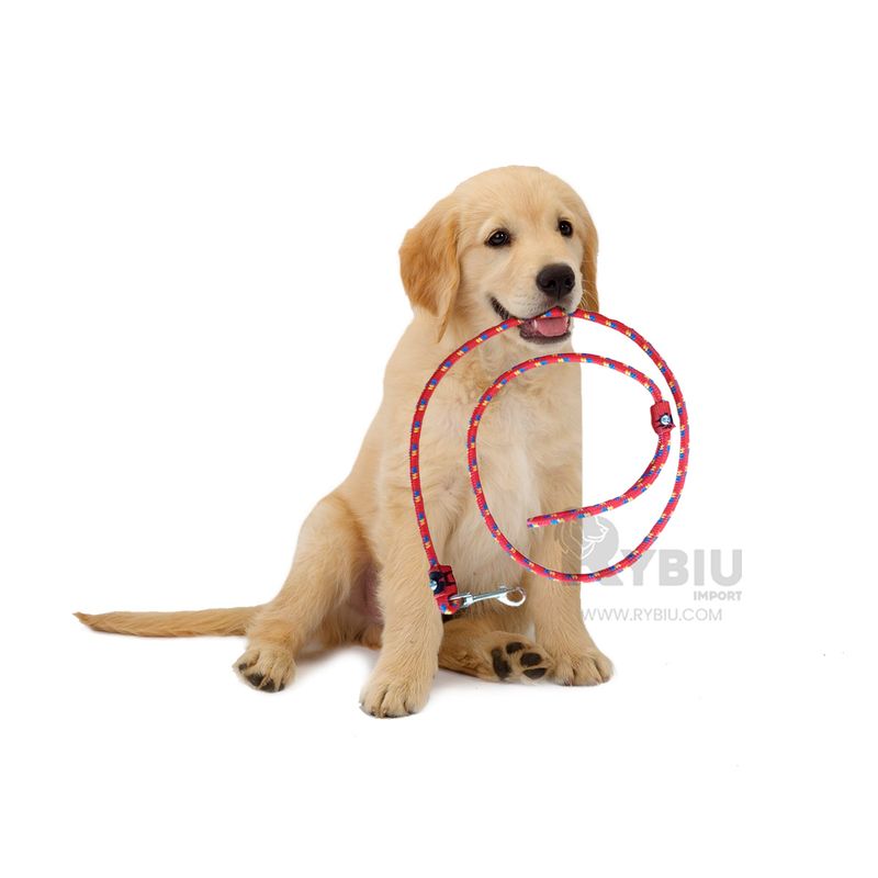 GENERICO - Cuerda Suave para Perro de Color Multicolor Y+Gift Stickers