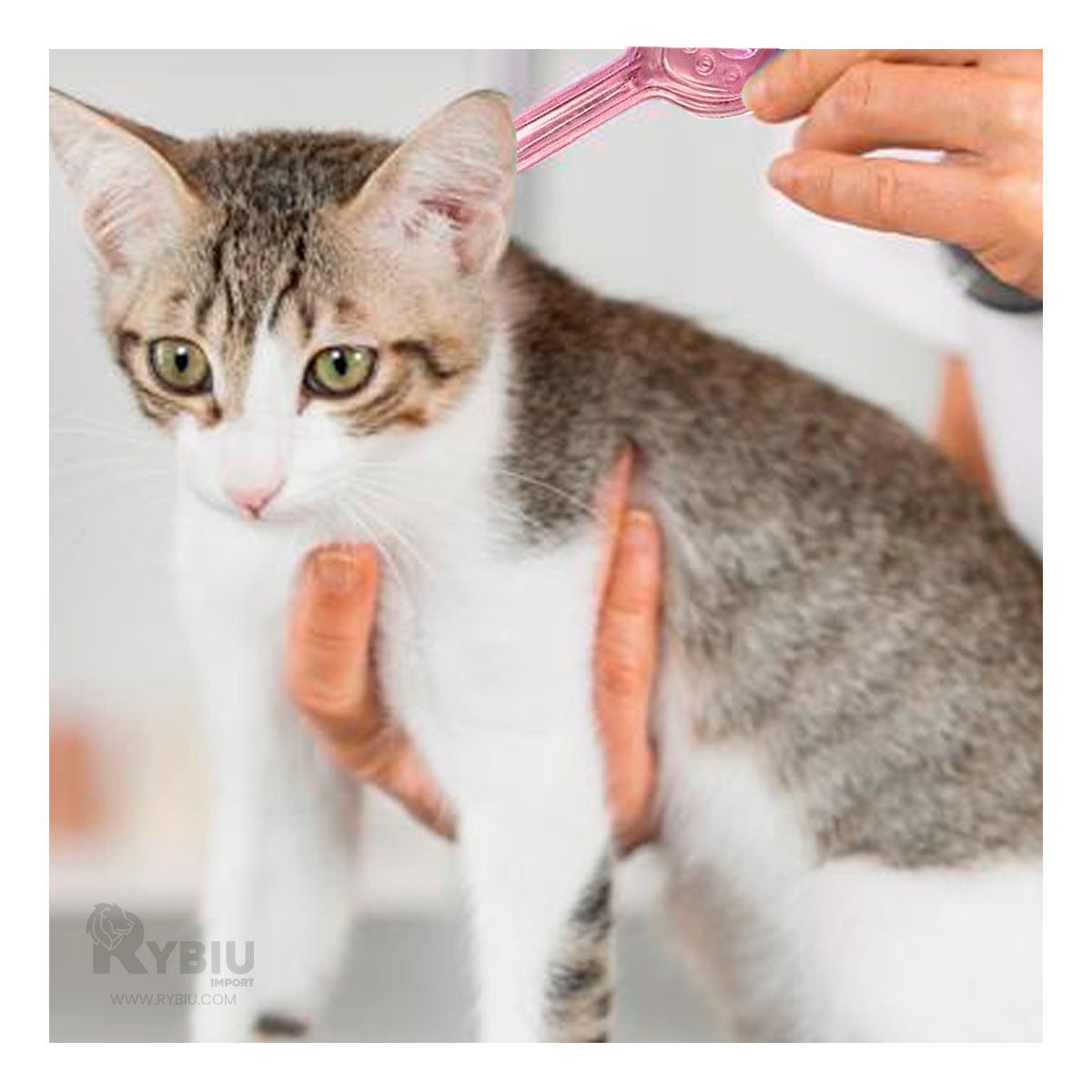 GENERICO - Gotero Felino Efectivo en Rosado Y+Ligas de Regalo