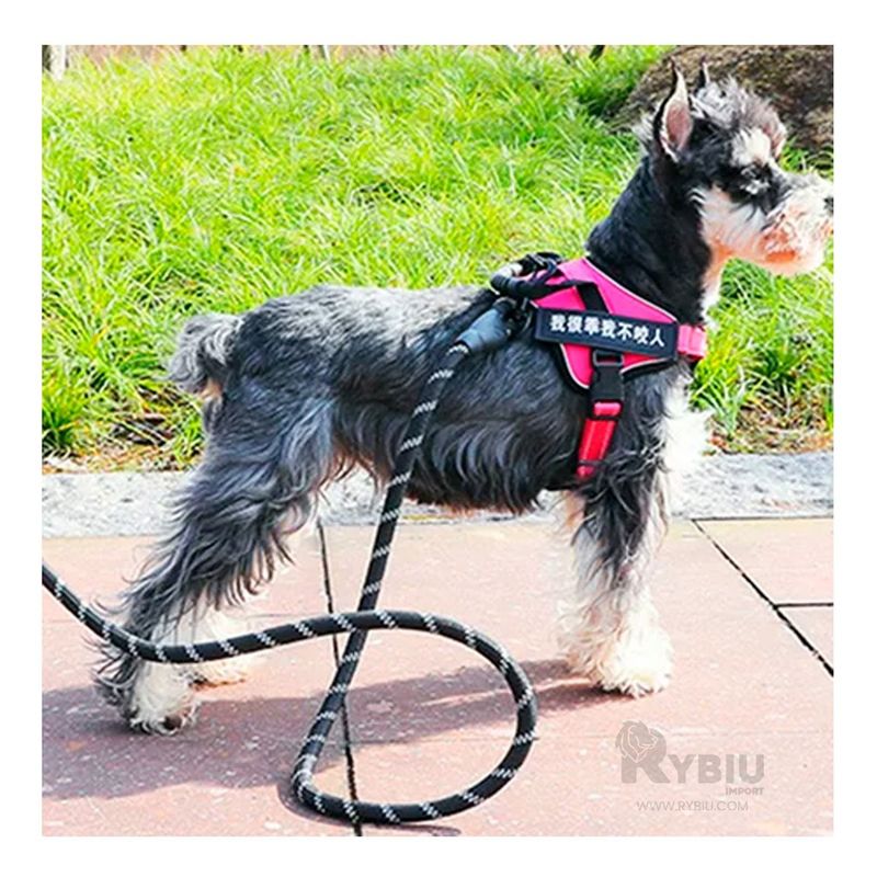 GENERICO - Soga Gruesa Basica y Segura de 12m Negro Y+Regalo Agendita