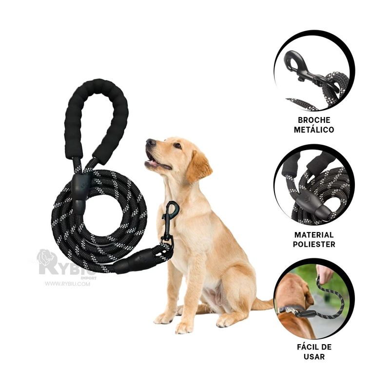 GENERICO - Correa Pet en Tono Negro Gruesa de 2m Y+Banderitas Adhesivas