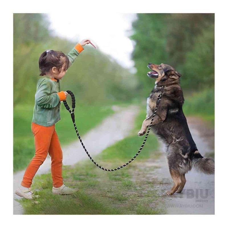 GENERICO - Correa Multiple para Mascota Negr 12m Gru Y+Ligas de Regalo