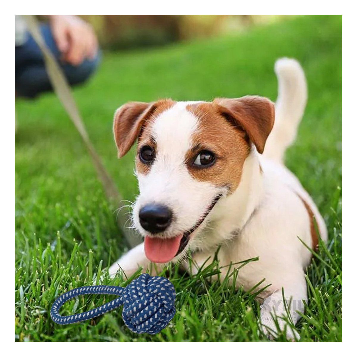 RYBIU IMPORT - Soga no Toxico en Tono Azul Oscuro Y+Regalo Stickers