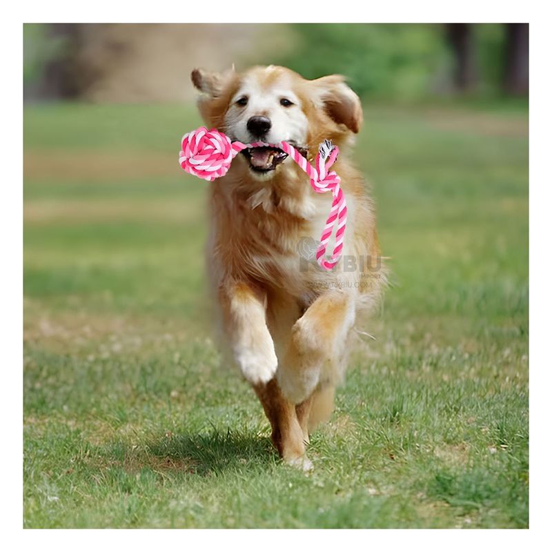 GENERICO - Cuerda para Mordisquear de Perro Rosado Y+Gift MiniAgenda