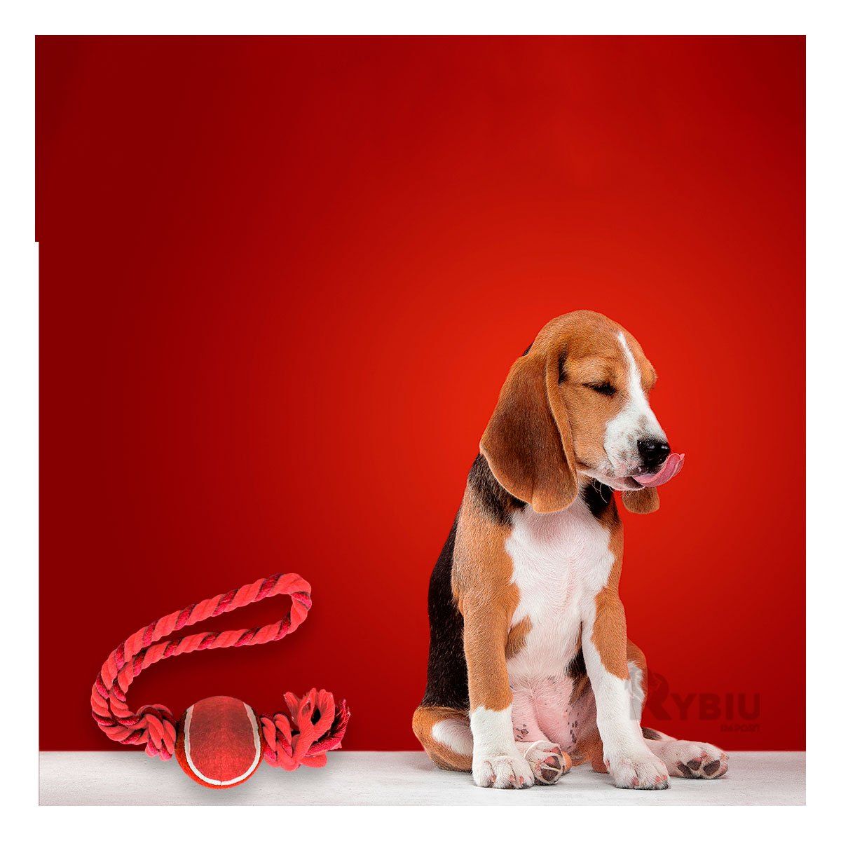 GENERICO - Soga con Nudo y Pelota de Tennis para Mascota Rojo