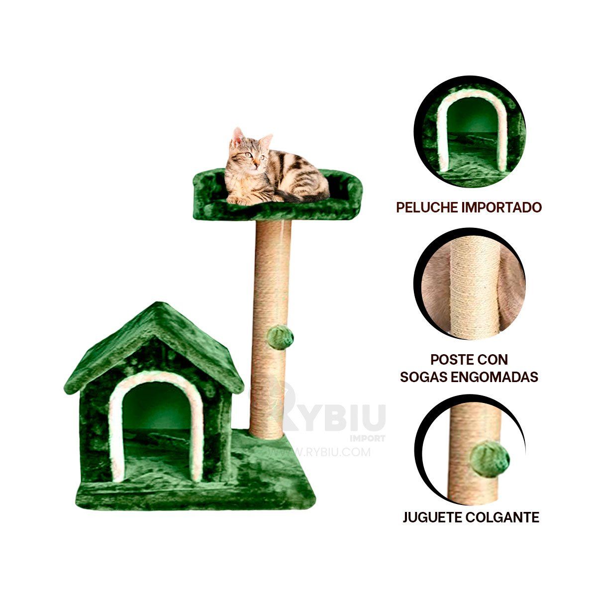 RYBIU IMPORT - Gimnasio Relajante para Gatos en Verde Y+Gift Stickers