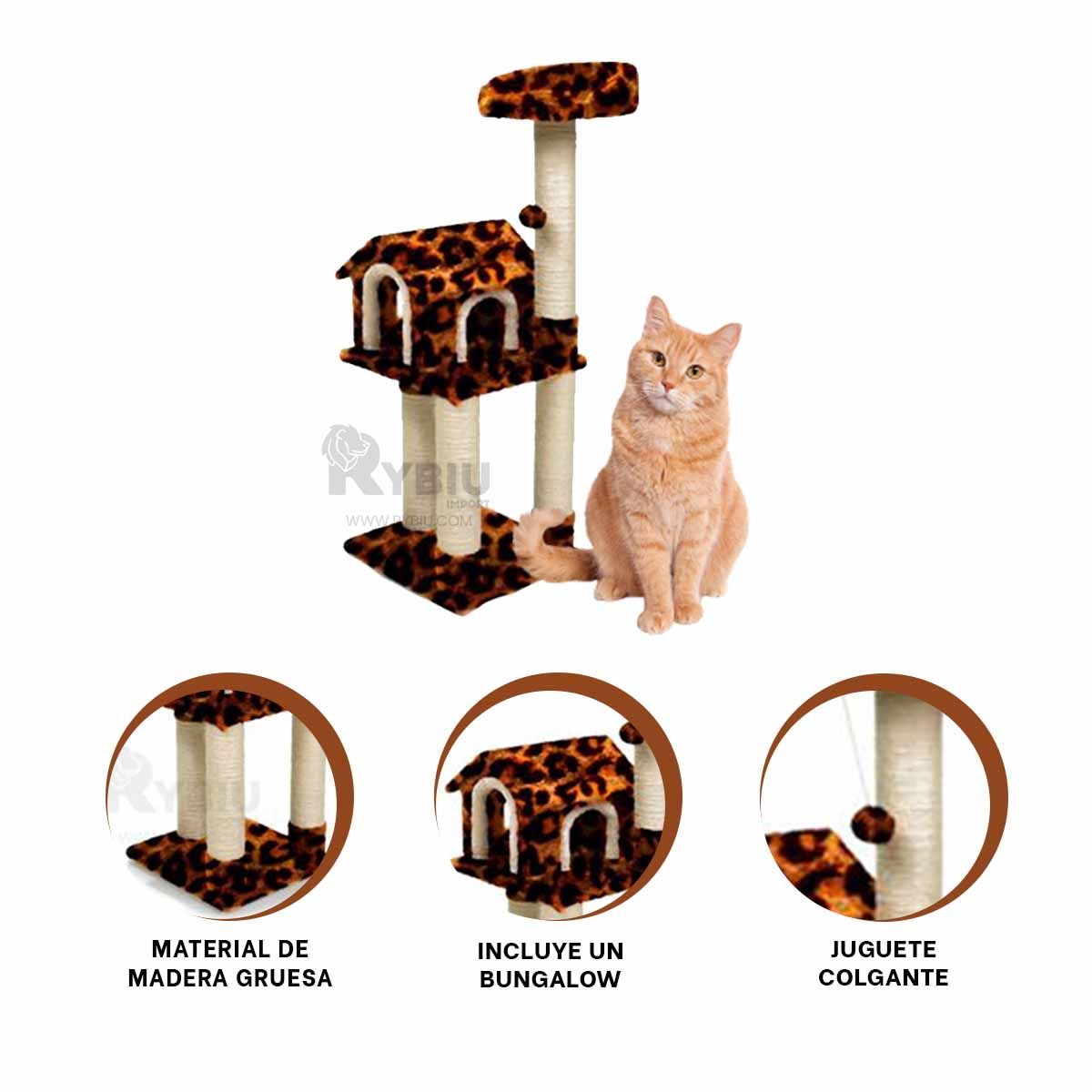 RYBIU IMPORT - Gimnasio Atractivo de Cat en Animal Print Y+Regalo Stickers