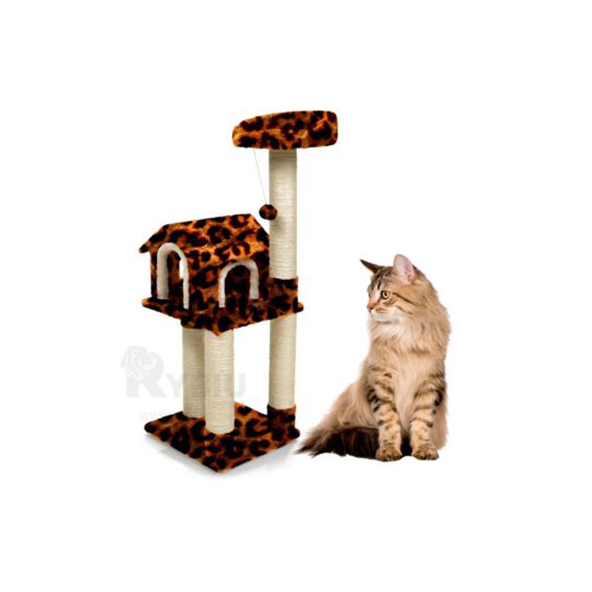 RYBIU IMPORT - Cama Duradero en Animal Print Y+Regalo Ligas para Peinar