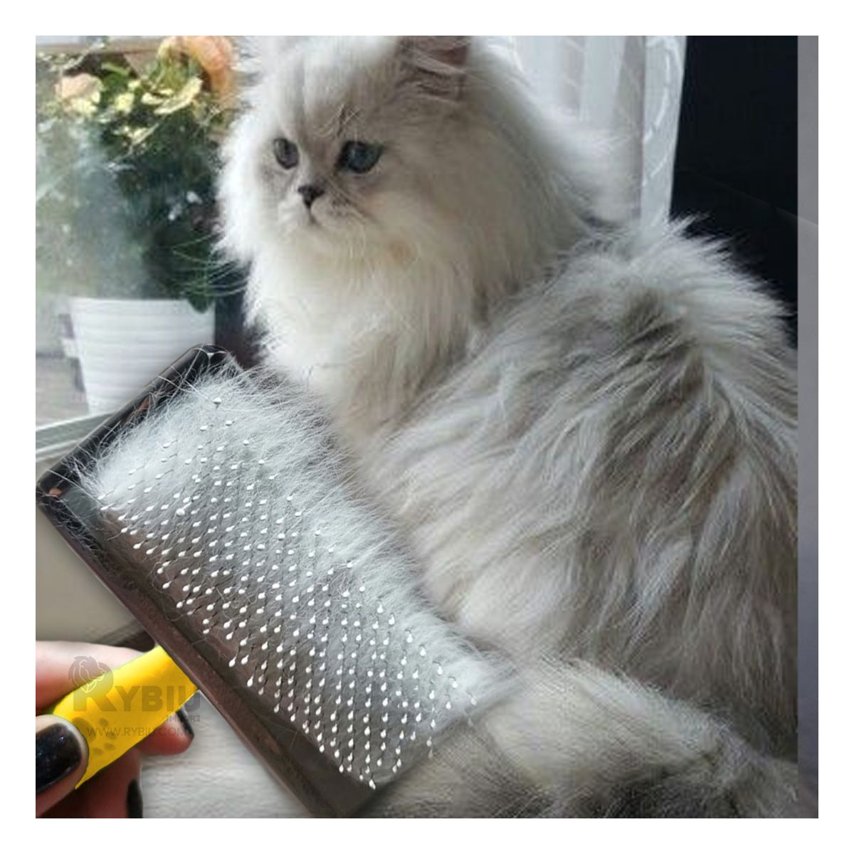 RYBIU IMPORT - Cepillo para Gatos en Amarillo Talla L Y+Regalo Stickers