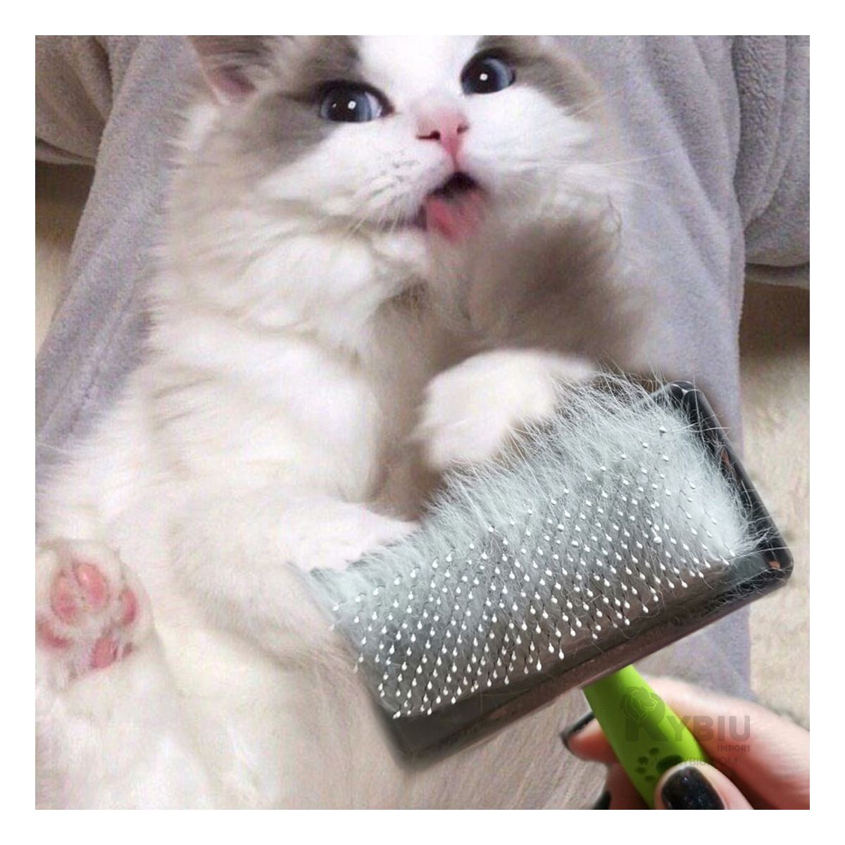 RYBIU IMPORT - Cepillo para Gatos Practico Verde Talla L Y+Regalo Stickers