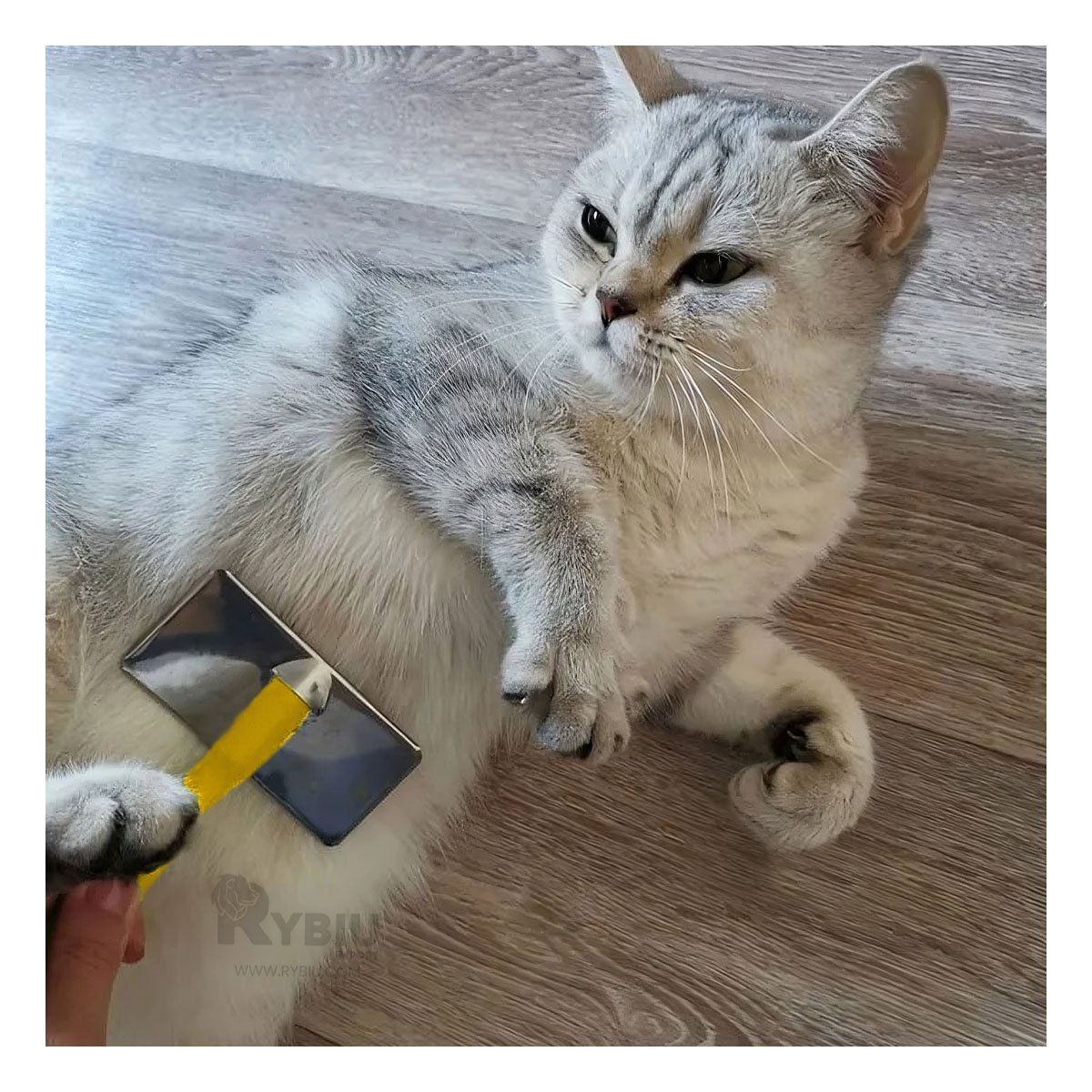 RYBIU IMPORT - Peineta Portatil Pet para Pelo Amarillo Talla XL Y+Agendita