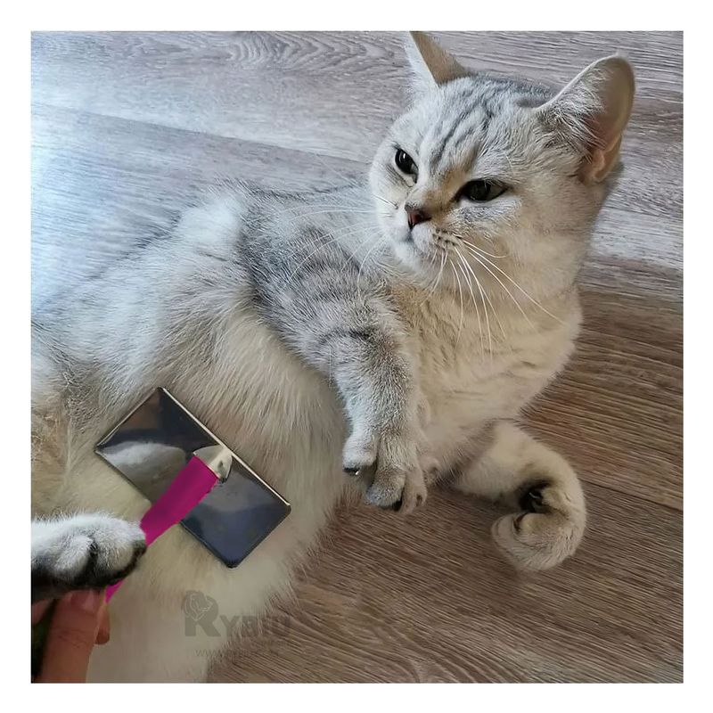 RYBIU IMPORT - Cepillo Pet para Mascotas con Puas Metalicas XL Fucsia