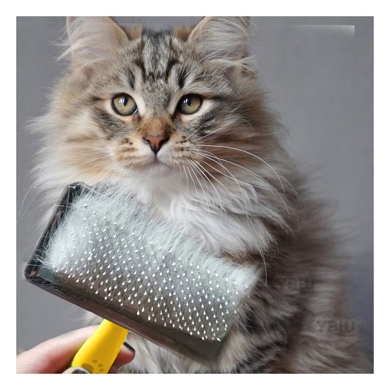 GENERICO - Cepillo Ergonomico de Amarillo en Talla L Y+Gift MiniAgenda