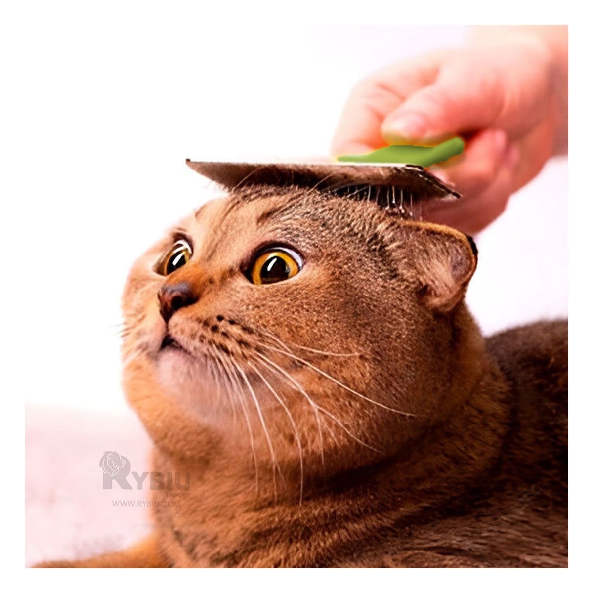 GENERICO - Peineta Versatil y Duradero en Verde Talla XL Y+Stickers