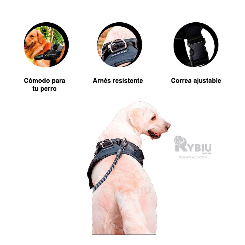 GENERICO - Correa Segura para Mascotas M Color Negro Y+Gift MiniAgenda