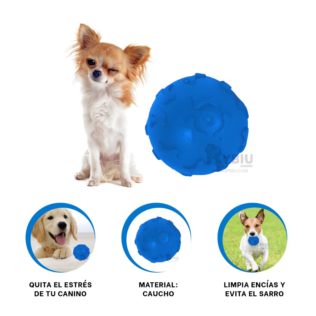 GENERICO - Juguete para Perros en Azul Y+Regalo Ligas para Peinar