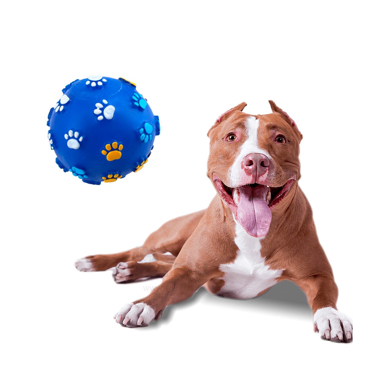 GENERICO - Pelota de Plastico en Azul Talla L Y+Papel de Regalo