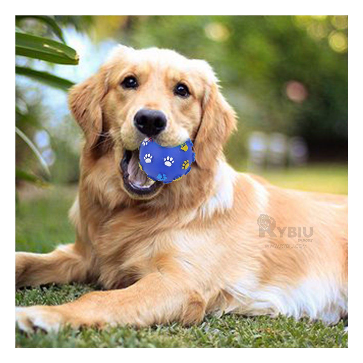 RYBIU IMPORT - Pelota para Mascotas en Tamaño Azul Y+Papel de Regalo