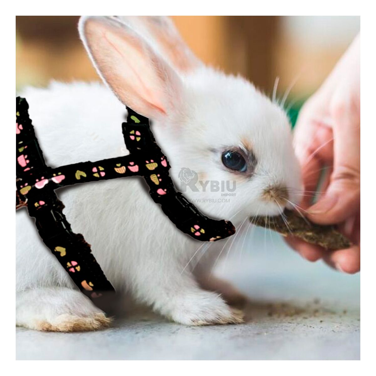 GENERICO - Correa Delgada de Conejo para Paseo en Tono Negro Y+Stickers