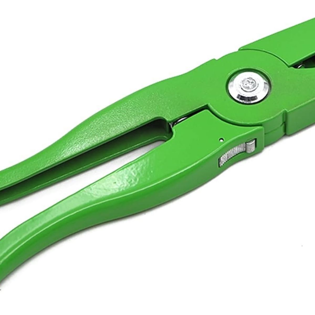 GENERICO - ALICATE ARETADOR VERDE PARA CUY AVE GALLINA POLLO