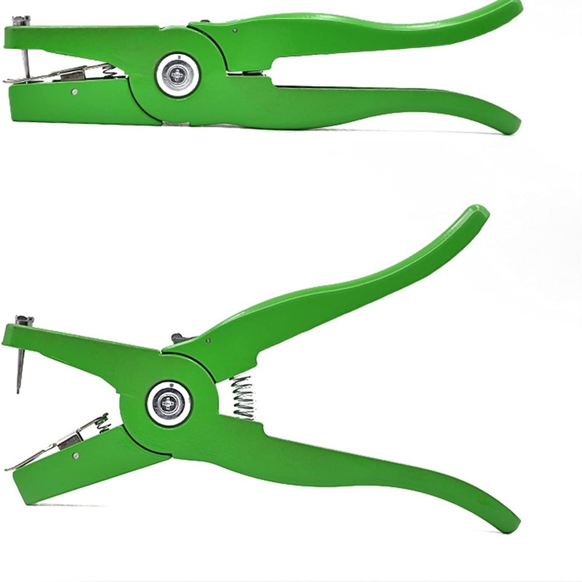 GENERICO - ALICATE ARETADOR VERDE PARA CUY AVE GALLINA POLLO