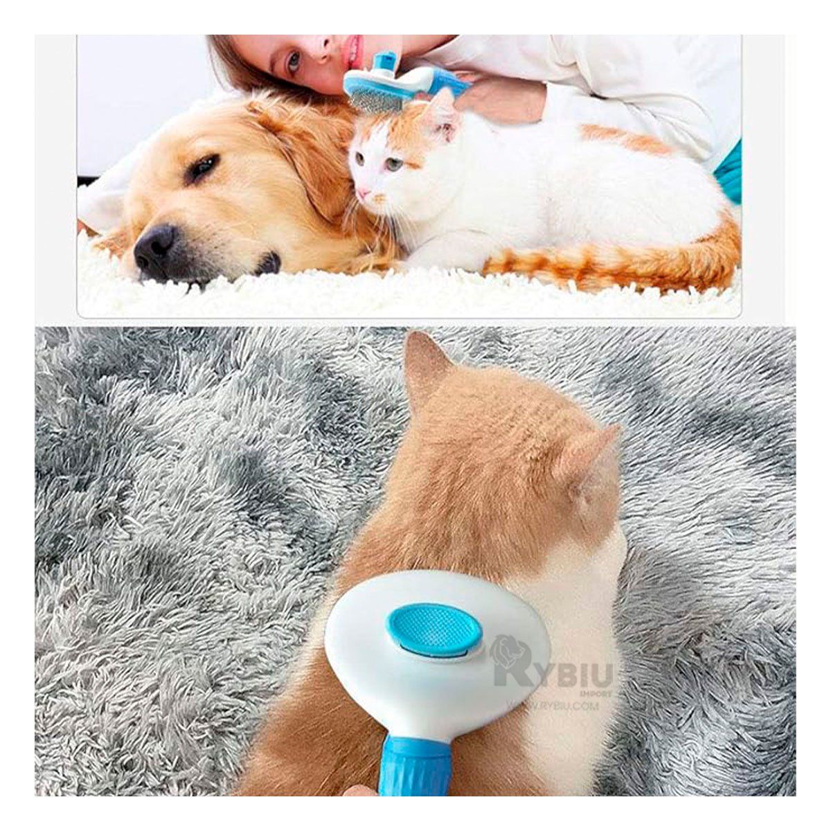 GENERICO - Cepillo Practico para Mascota Celeste Y+Envoltorio de Regalo