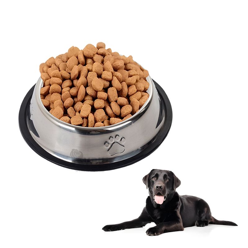 GENERICO - Recipiente para Alimento de Canino en XXXL Y+Regalo Stickers