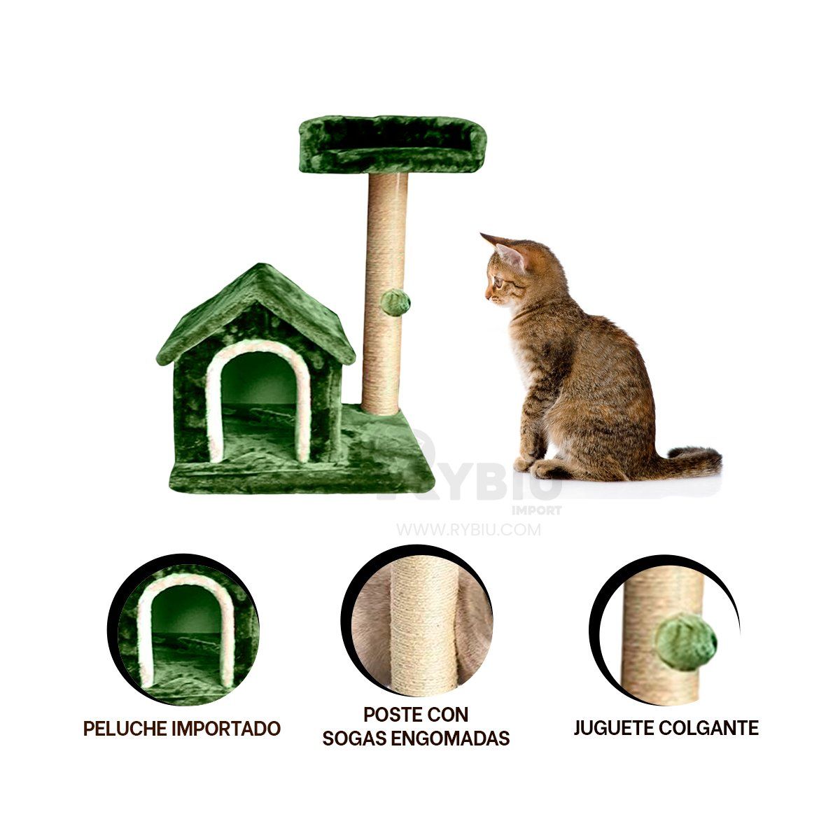 RYBIU IMPORT - Gimnasio Versatil de Gatitos en Verde Y+Envoltorio de Regalo
