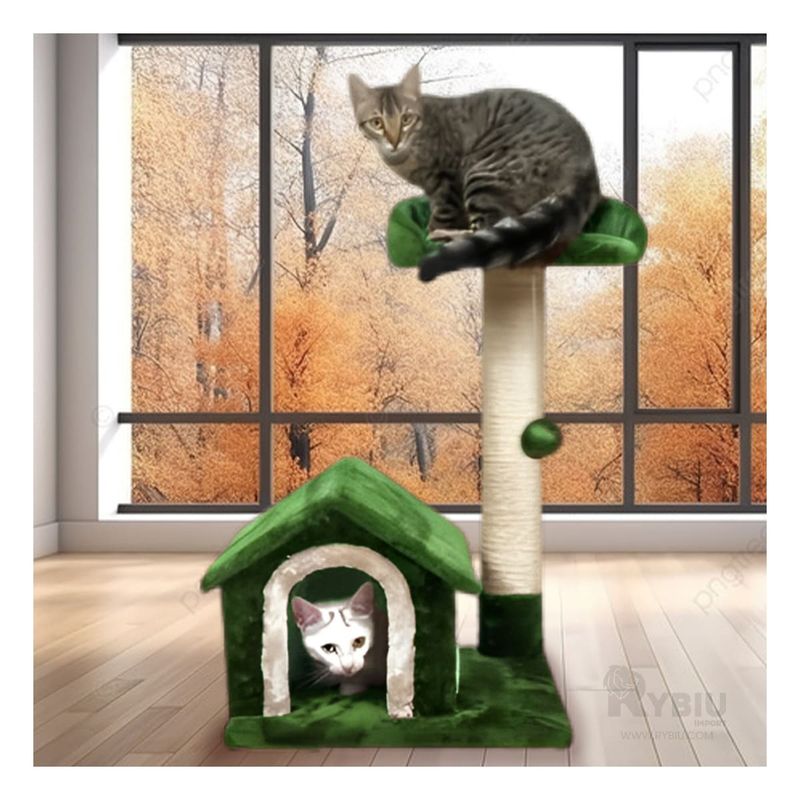 GENERICO - Gym Practico de Usar de Cats Color Verde Y+Regalo Agendita