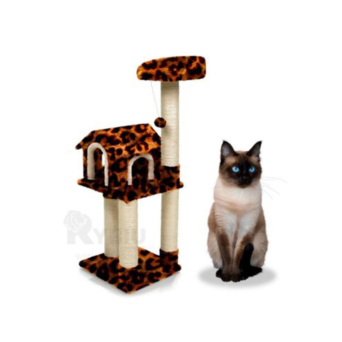 GENERICO - Gimnasio Atractivo de Cat en Animal Print Y+Regalo Stickers