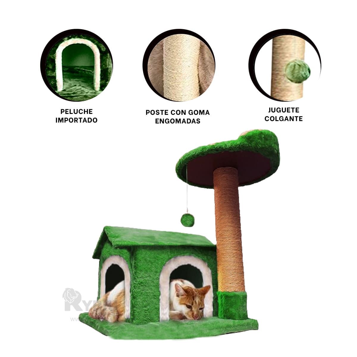 GENERICO - Gimnasio con Rascados para Minino Verde Y+Regalo Stickers