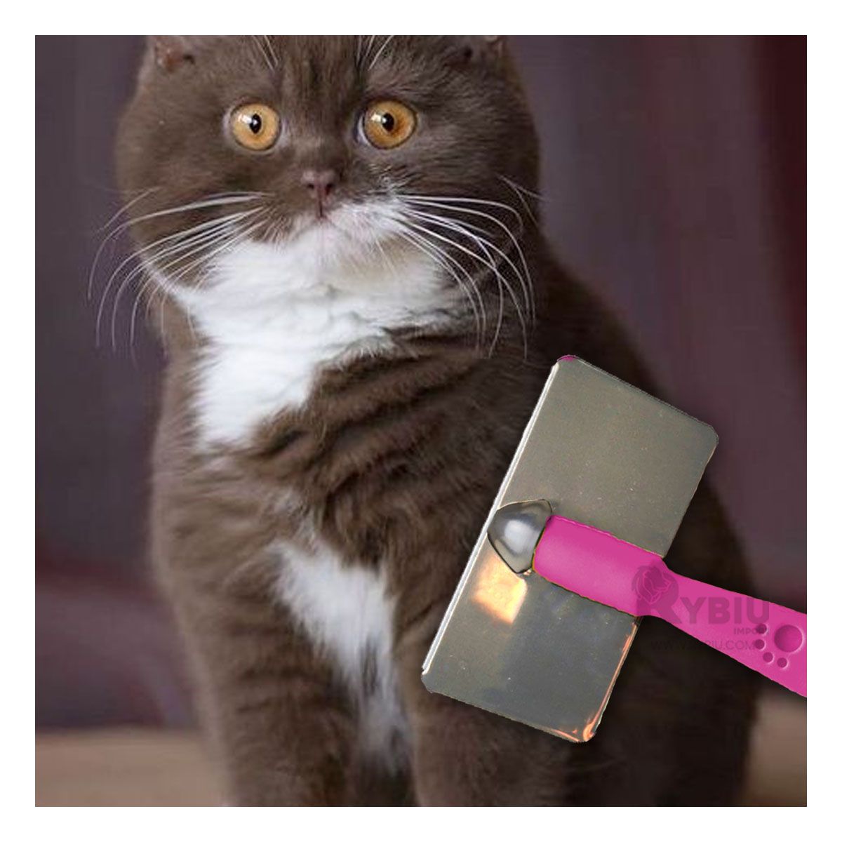 GENERICO - Peine para Gatos con Mango de Plastico en Fucsia Y+Stickers