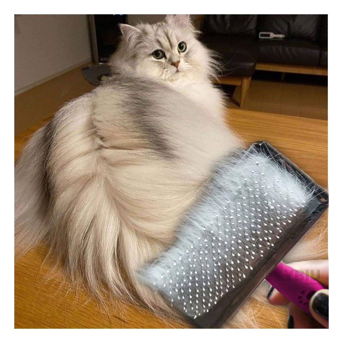 GENERICO - Cepillo Funcional para Mascotas en Color Fucsia Y+Stickers