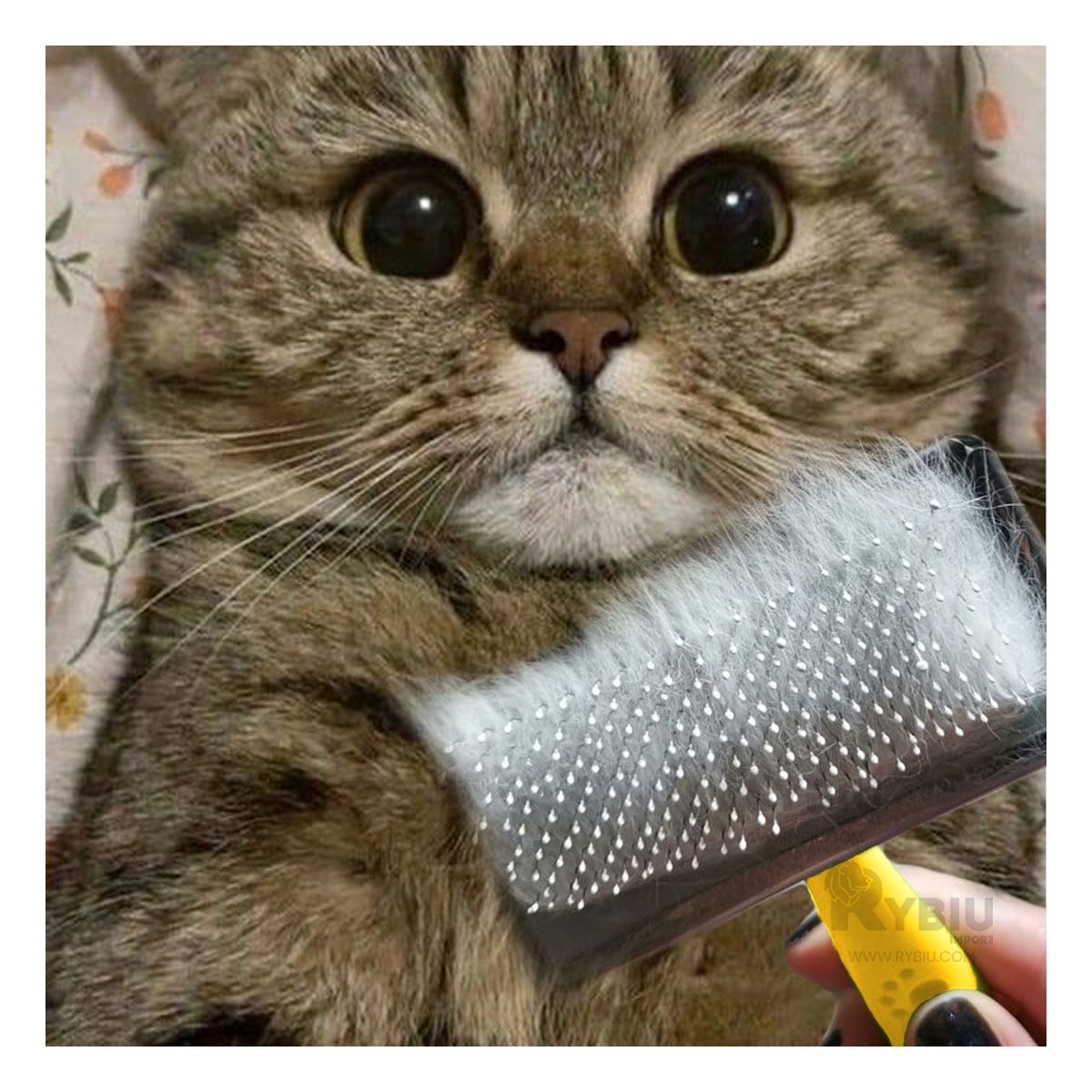 GENERICO - Peine para Mascotas de Amarillo Talla L Y+Papel de Regalo