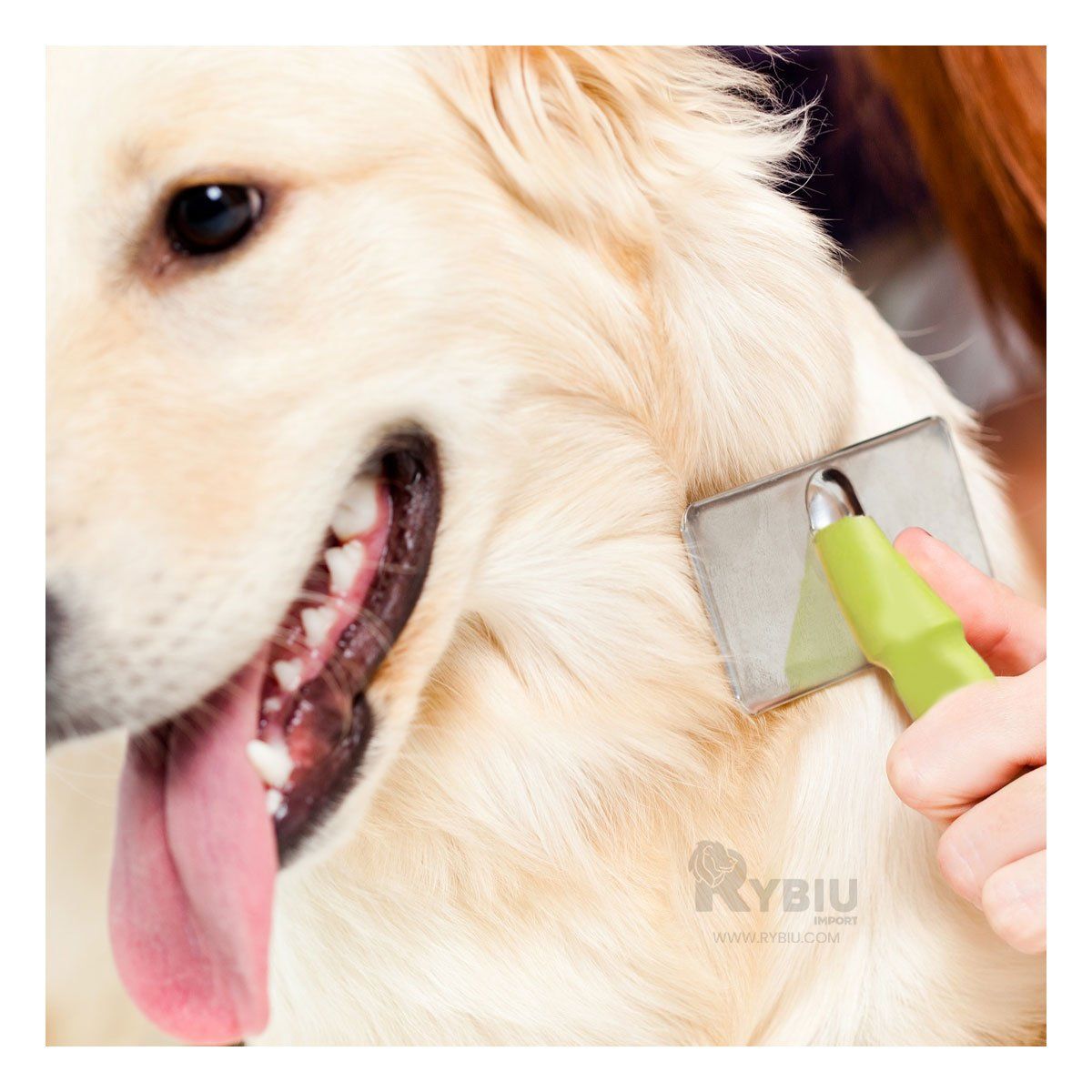 GENERICO - Peineta Portatil Pet para Pelo Tono Verde Talla M Y+Agendita