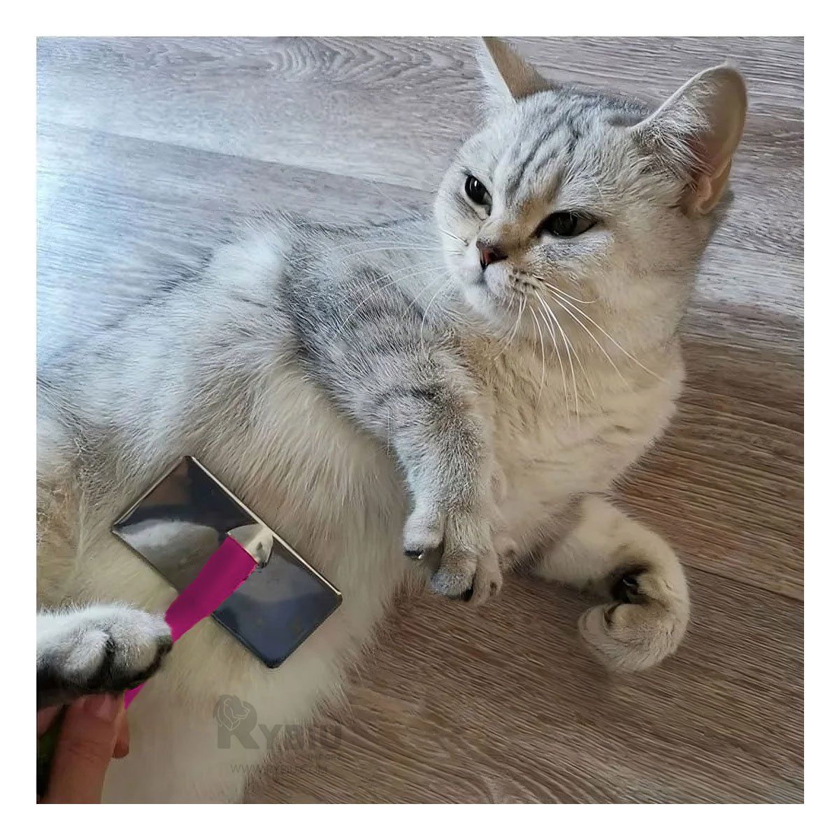 GENERICO - Peine Cerdas Inoxidables Talla XL Fucsia Y+Stickers