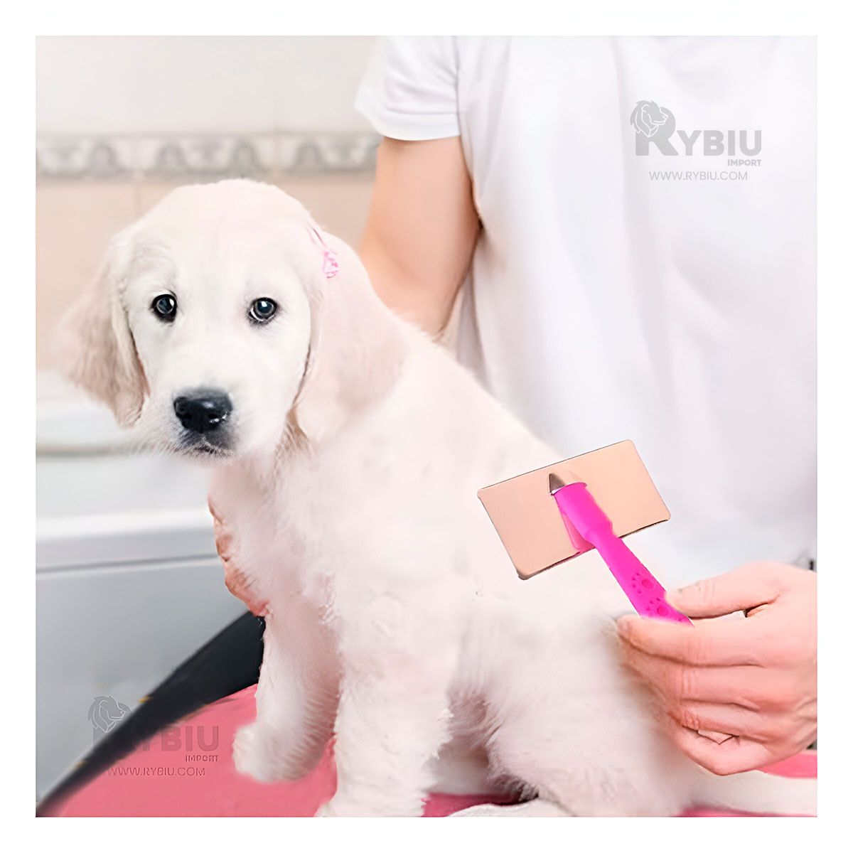 GENERICO - Peineta Portatil Pet para Pelo en Tono en Talla S Y+Agendita