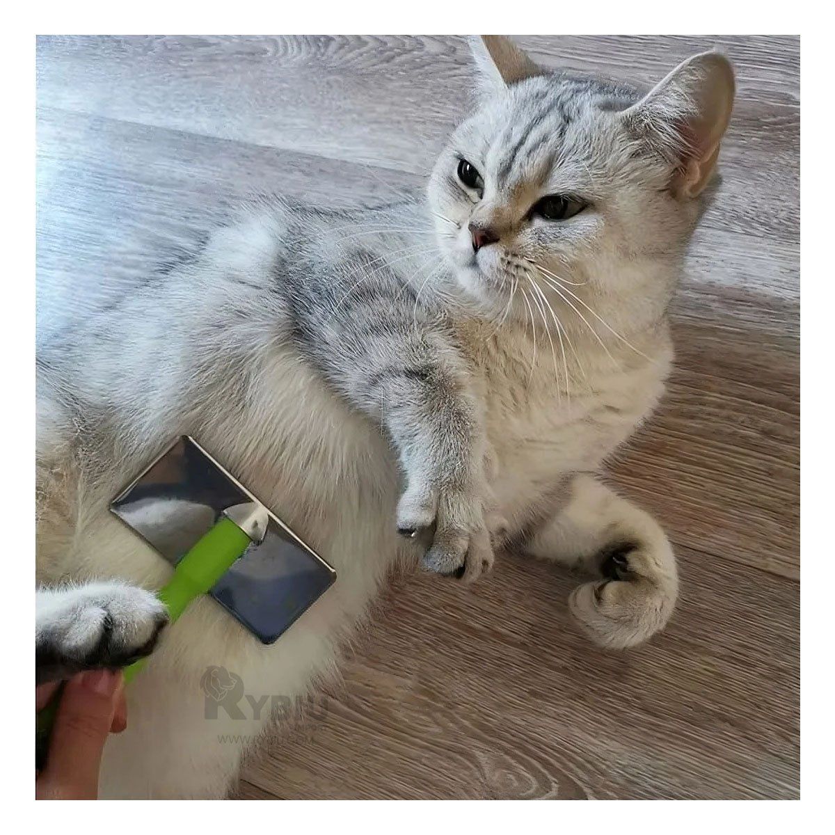 GENERICO - Peineta Mascotas con Puntas de Metal Suave Talla XL Verde