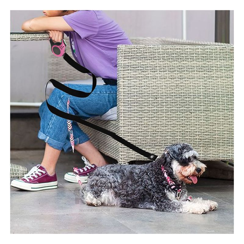 GENERICO - Correa Automática Canina de 3m en Rosado Y+Gift MiniAgenda