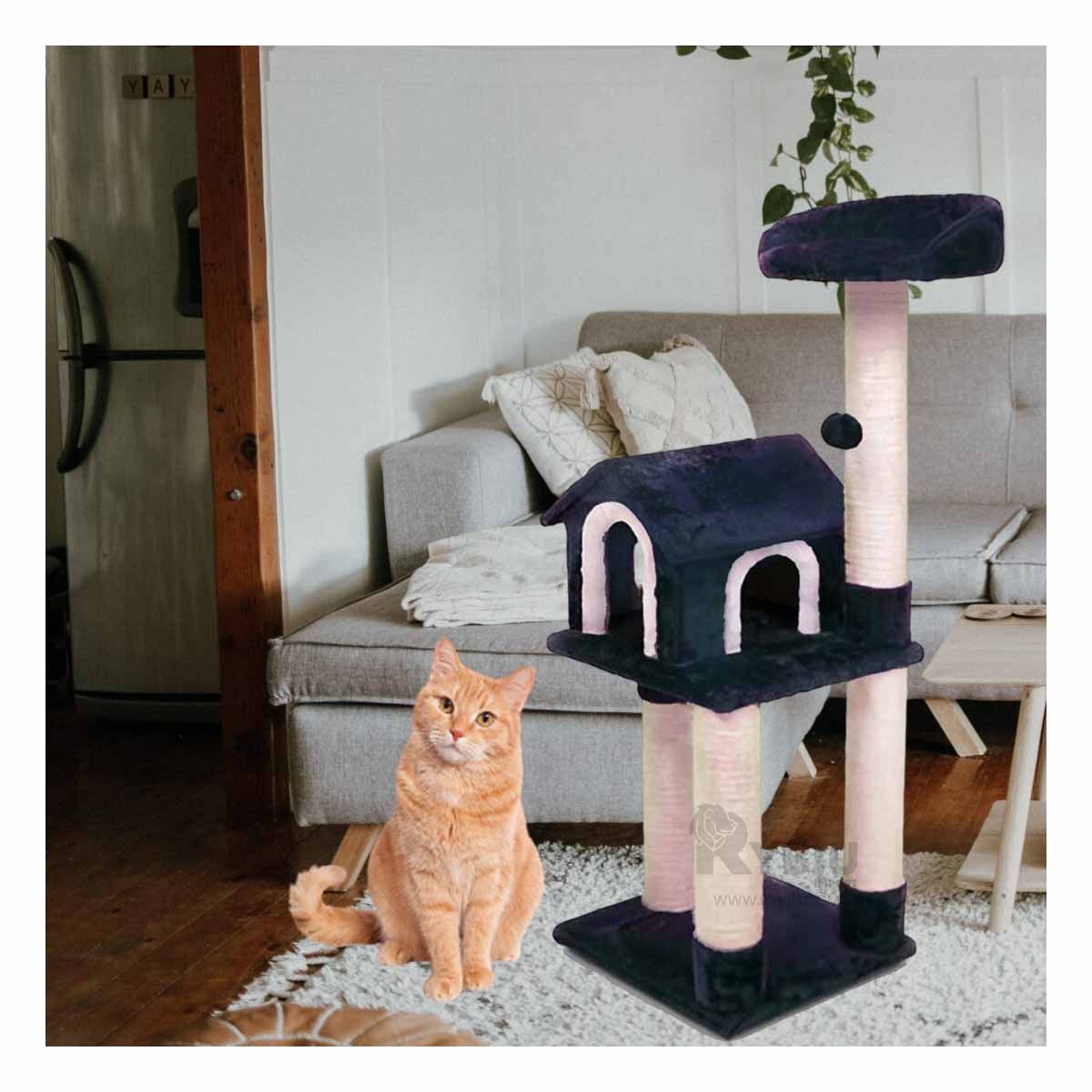 GENERICO - Gimnasio de Entretenimiento de Gatos Azul Y+Regalo Agendita