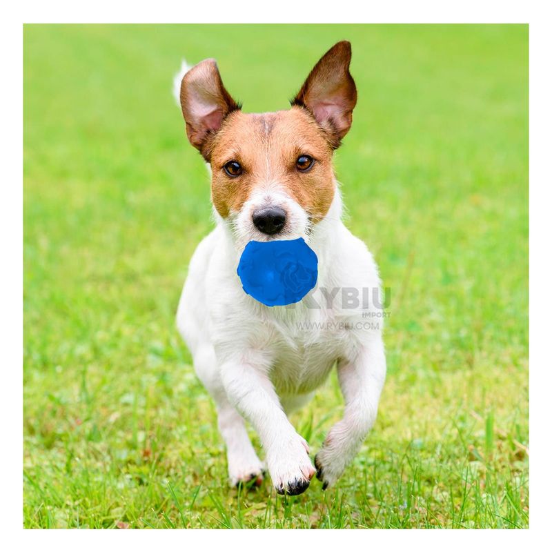 GENERICO - Pelota con Diseño de Huesos para Perro en Color Azul