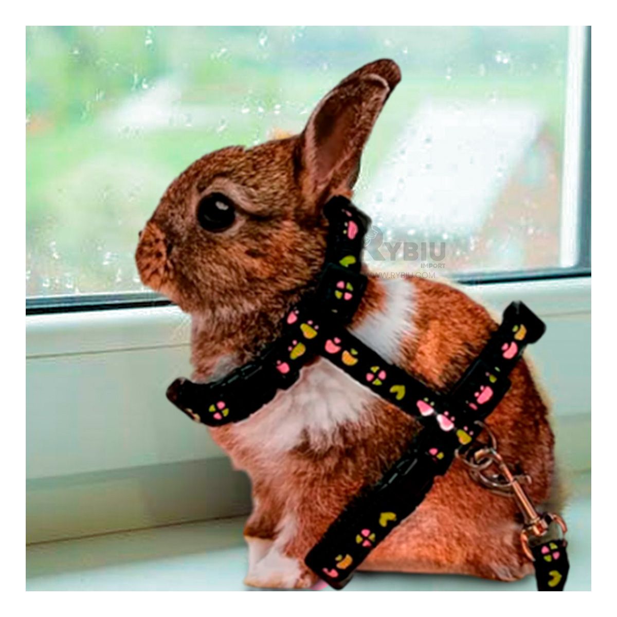 GENERICO - Tirante de Seguridad para Conejo Negro Y+Post-it adhesivos