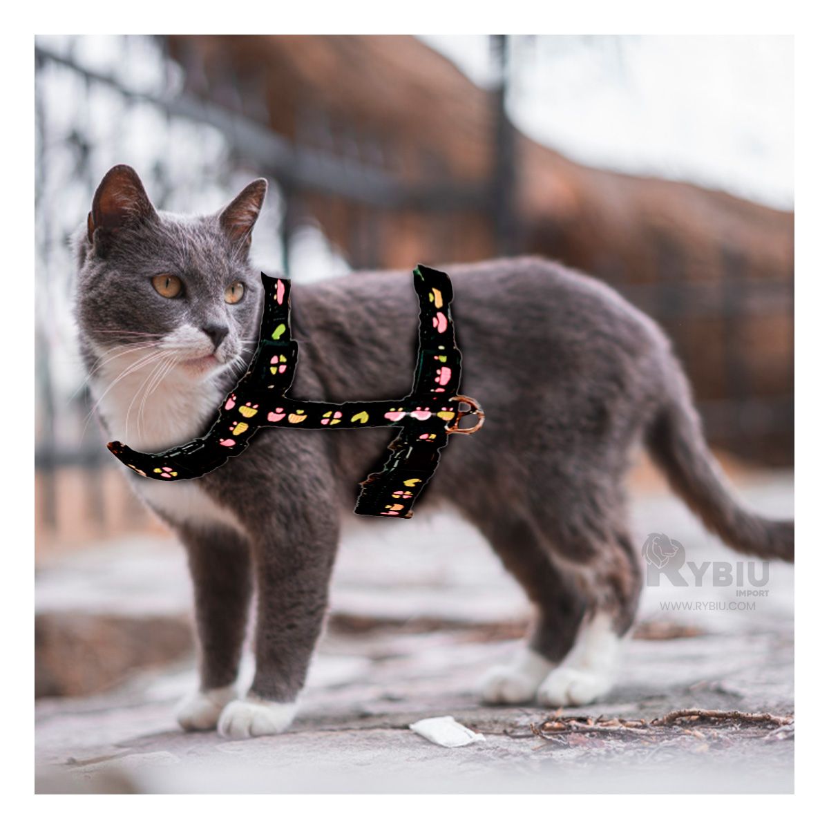 GENERICO - Tirante de Seguridad para Conejo Negro Y+Post-it adhesivos