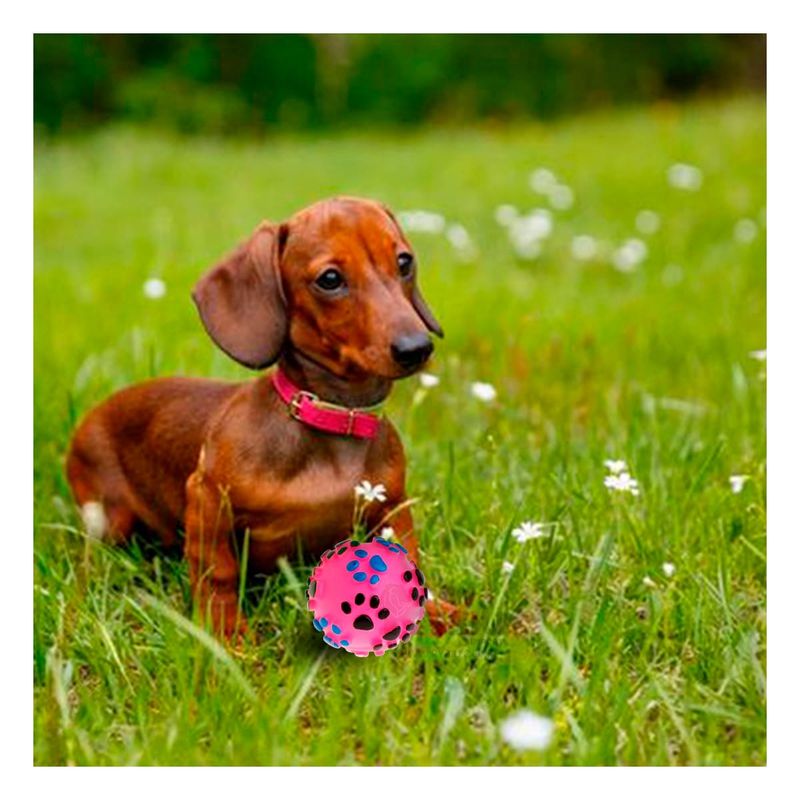 GENERICO - Pelota Pet con Huellas de Plastico en Color Rosado Talla L