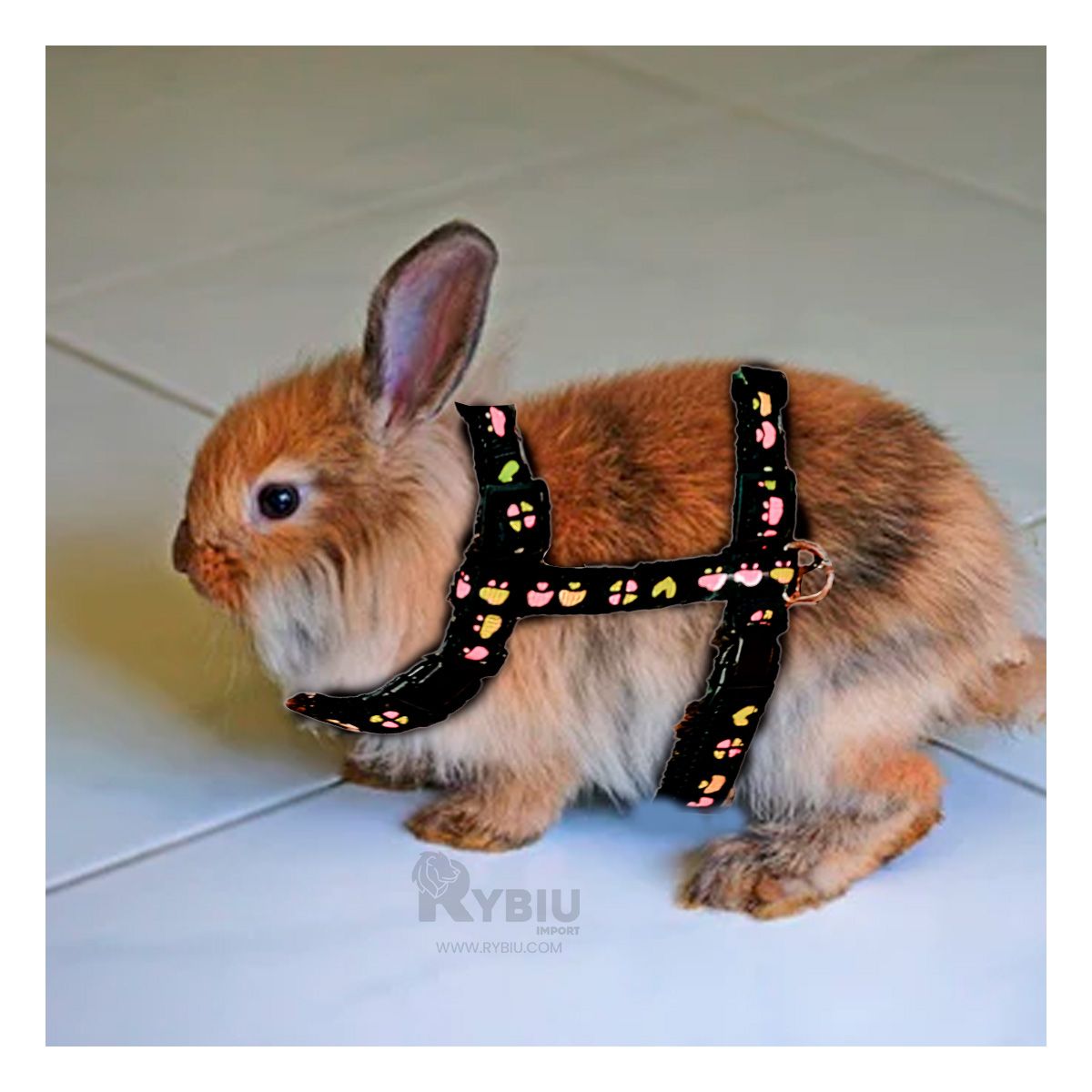 GENERICO - Arnes Practico para Conejos Delgado en Tono Negro Y+Agendita