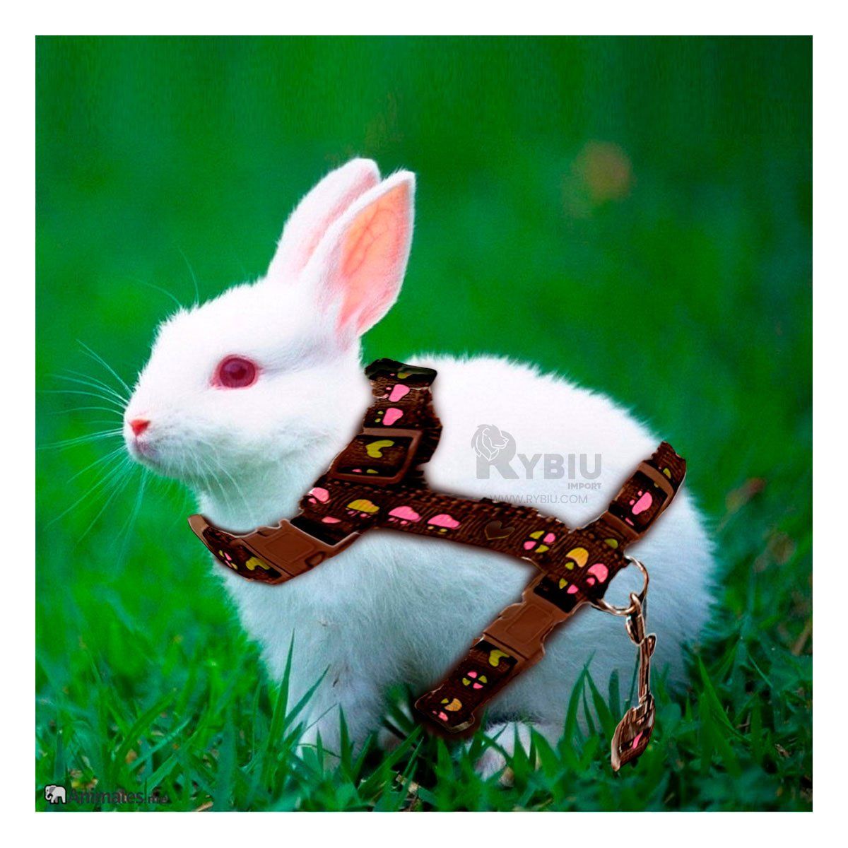 GENERICO - Arnes para Conejo de Paseo Delgado de Color Marron