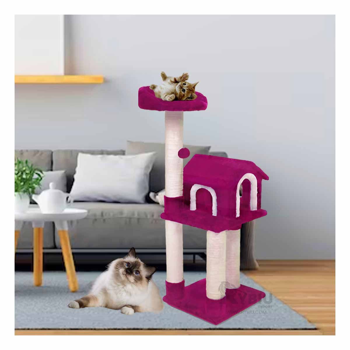 RYBIU IMPORT - Gimnasio de 3 Pisos para Cats Color Fucsia Y+Papel de Regalo