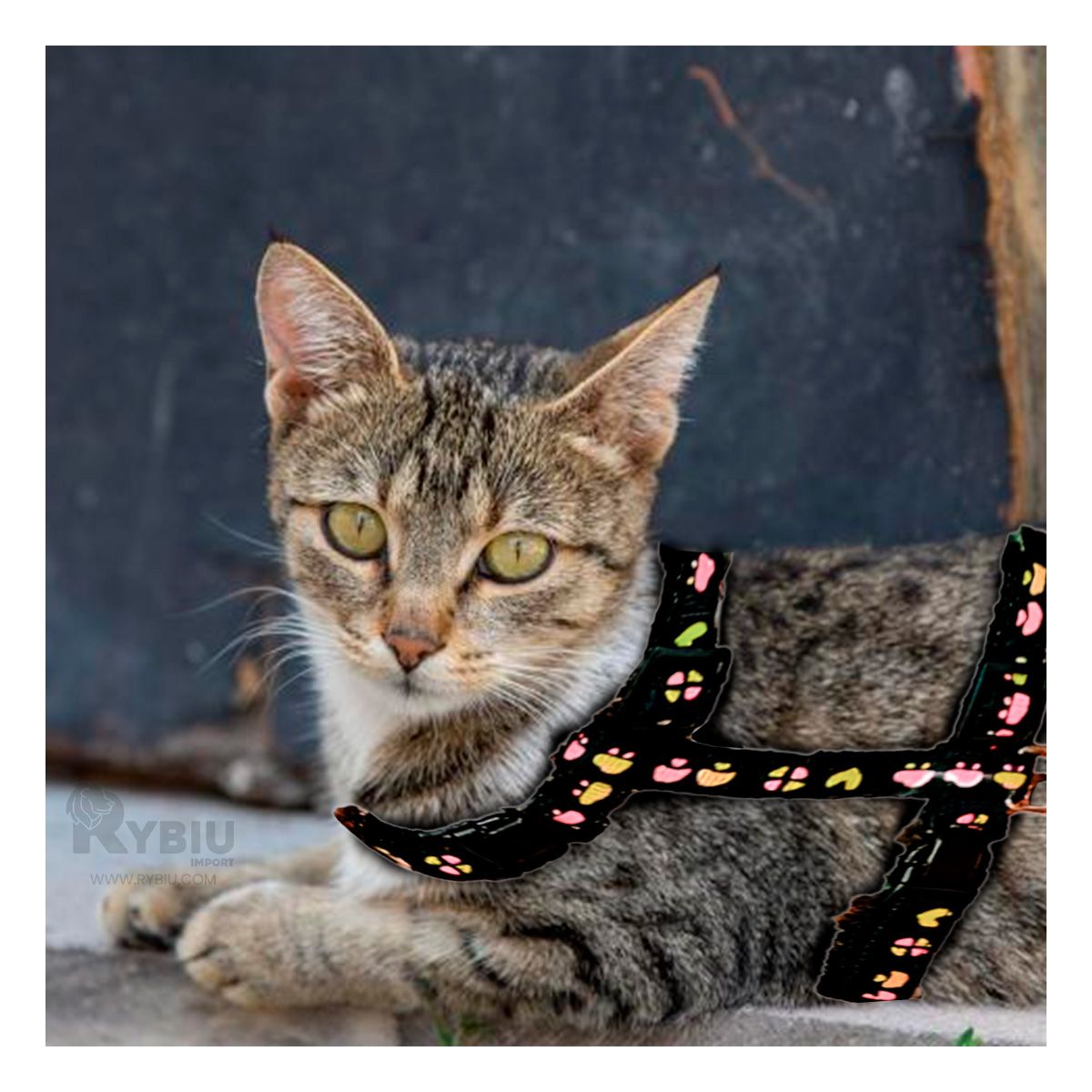 RYBIU IMPORT - Arnes para Conejo de Paseo Delgado de Color Negro